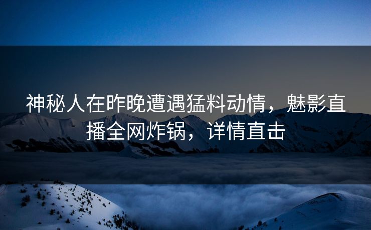 神秘人在昨晚遭遇猛料动情，魅影直播全网炸锅，详情直击