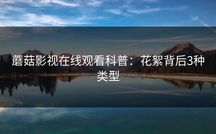 蘑菇影视在线观看科普：花絮背后3种类型