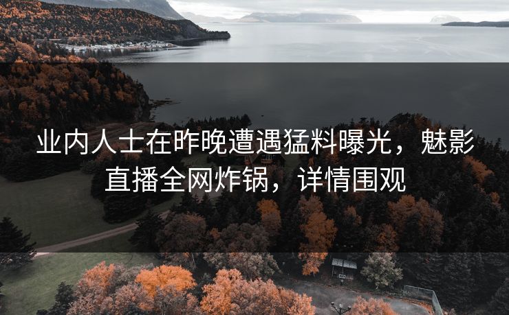 业内人士在昨晚遭遇猛料曝光，魅影直播全网炸锅，详情围观