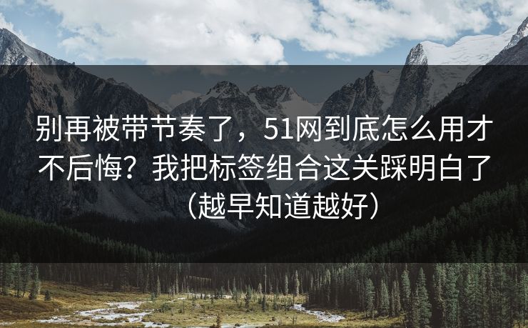 别再被带节奏了，51网到底怎么用才不后悔？我把标签组合这关踩明白了（越早知道越好）