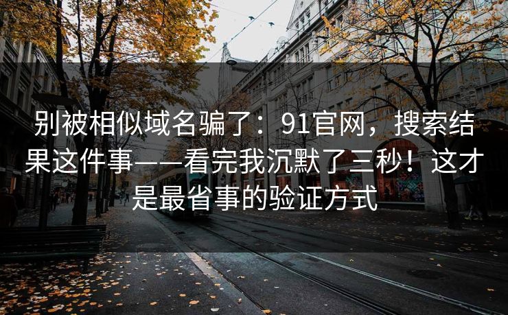 别被相似域名骗了：91官网，搜索结果这件事——看完我沉默了三秒！这才是最省事的验证方式